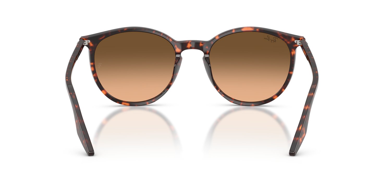 RAY-BAN RB2204 14293B 54