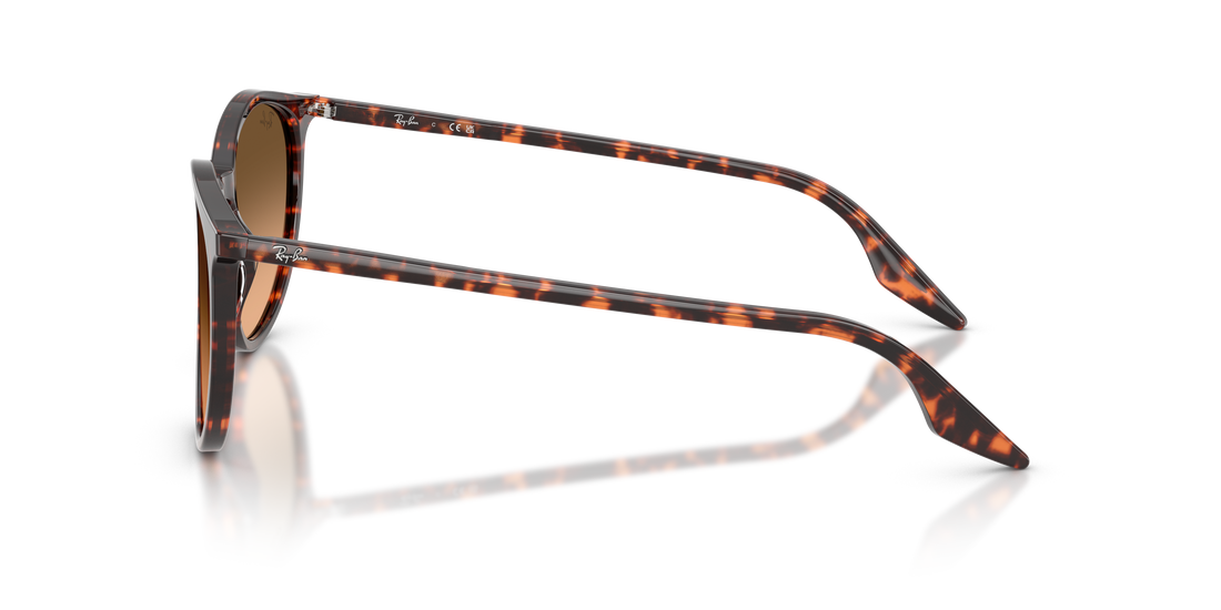 RAY-BAN RB2204 14293B 51