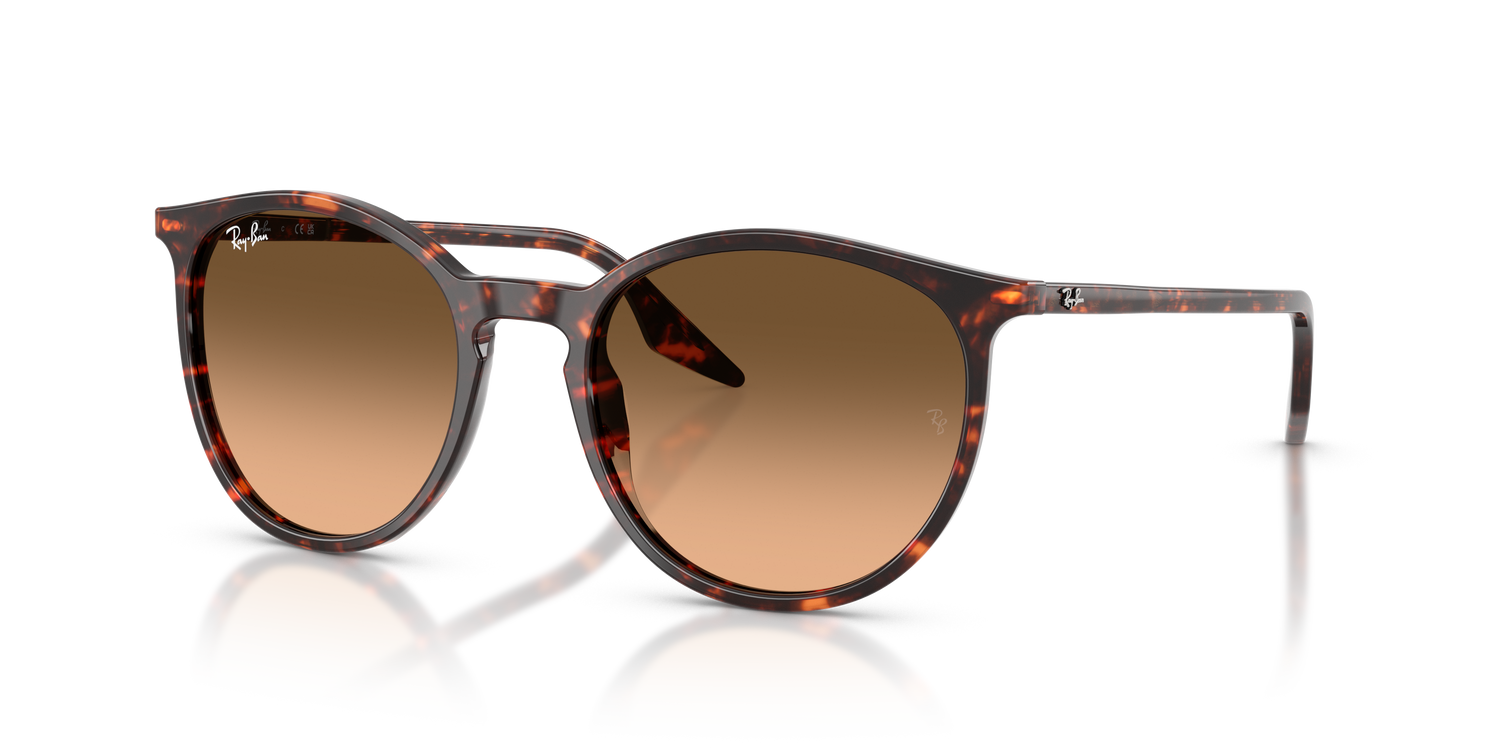 RAY-BAN RB2204 14293B 51