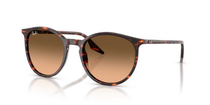 RAY-BAN RB2204 14293B 51