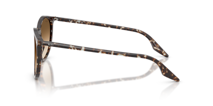 RAY-BAN RB2204 143151 54