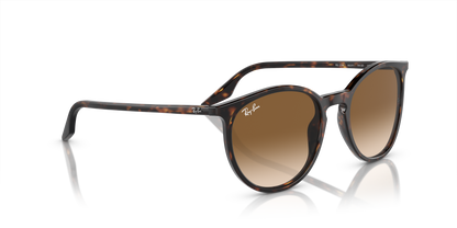RAY-BAN RB2204 902/51 54