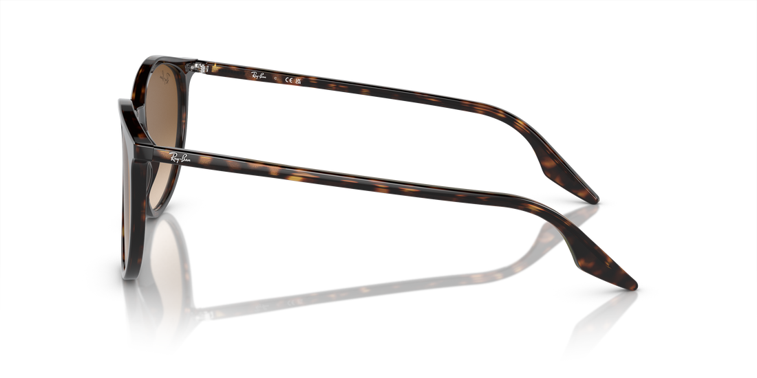 RAY-BAN RB2204 902/51 51