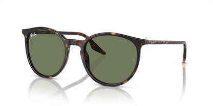 RAY-BAN RB2204 902/GJ 54