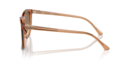 RAY-BAN RB2210 676451 53