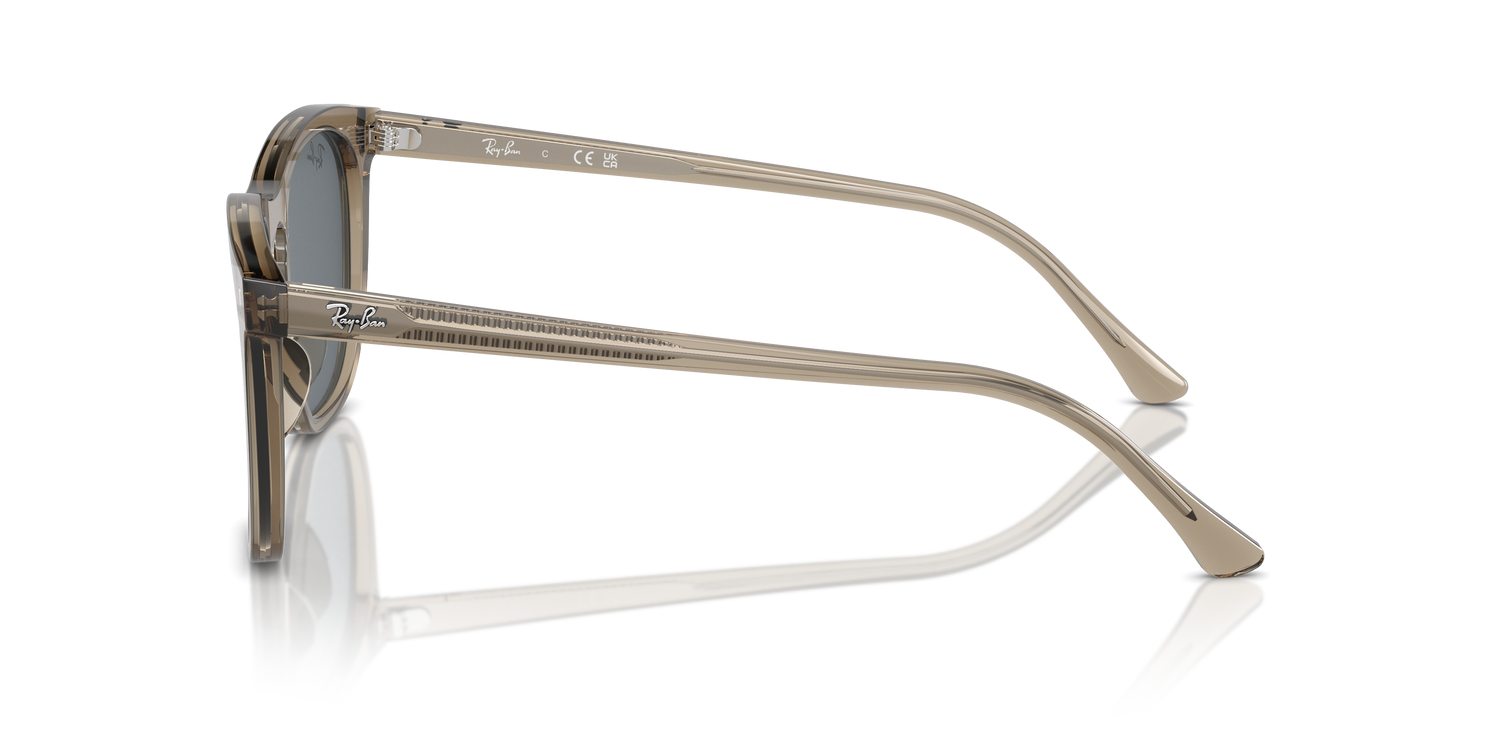 RAY-BAN RB2210 6765R5 53