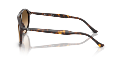 RAY-BAN RB2215 902/51 56