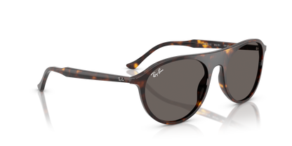 RAY-BAN RB2215 902/B1 59