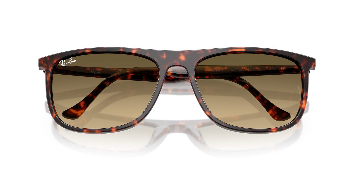 RAY-BAN RB2216 14290A 58