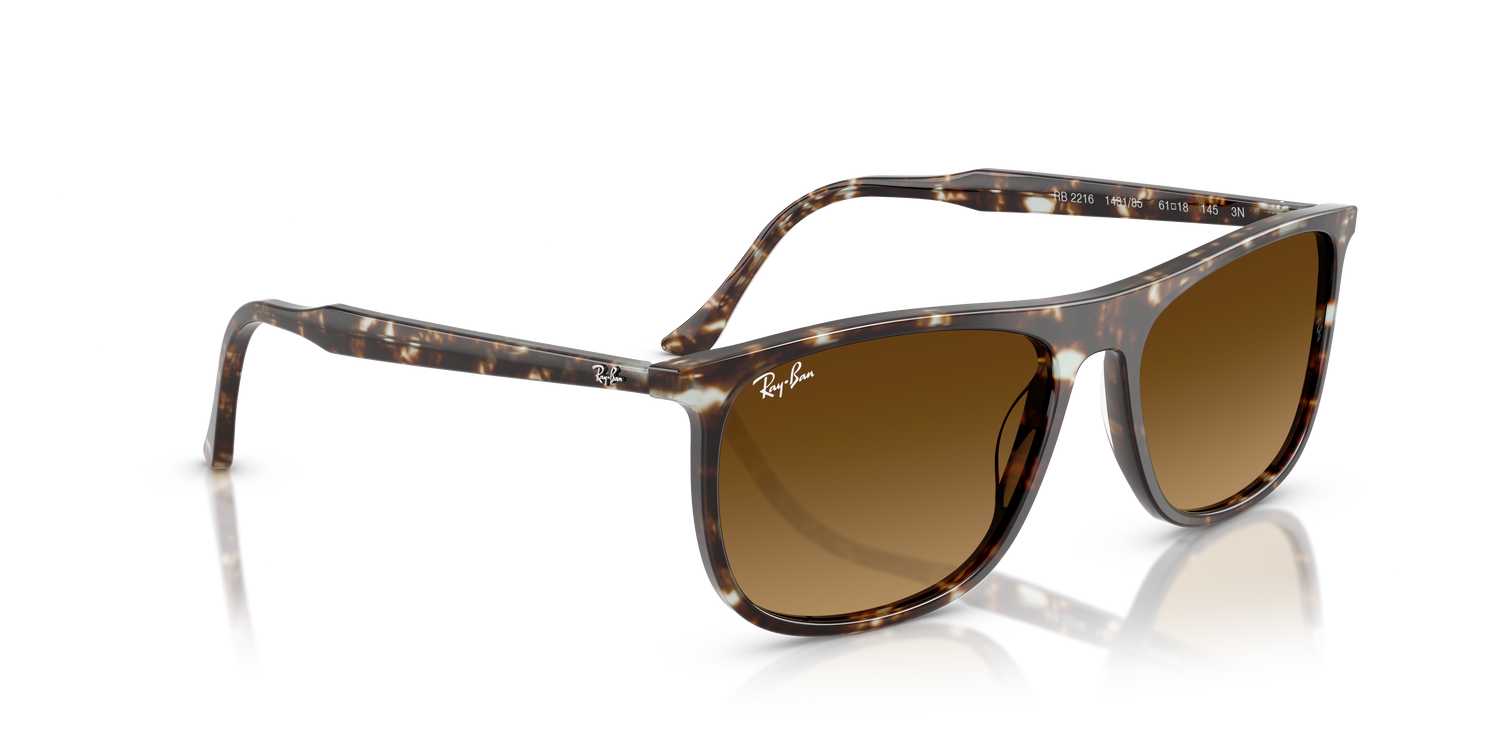 RAY-BAN RB2216 143185 58