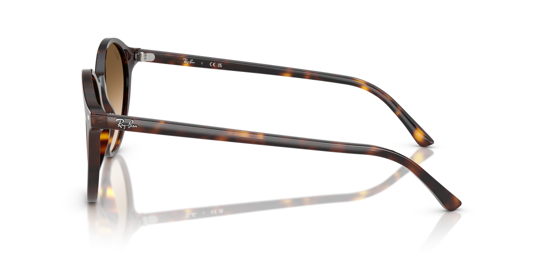 RAY-BAN RB2230 BERNARD 902/51 53