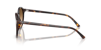 RAY-BAN RB2230 BERNARD 902/51 53