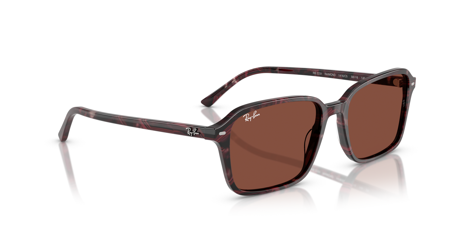 RAY-BAN RB2231 RAIMOND 1416C5 56