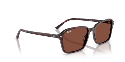 RAY-BAN RB2231 RAIMOND 1416C5 58