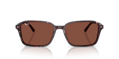 RAY-BAN RB2231 RAIMOND 1416C5 58