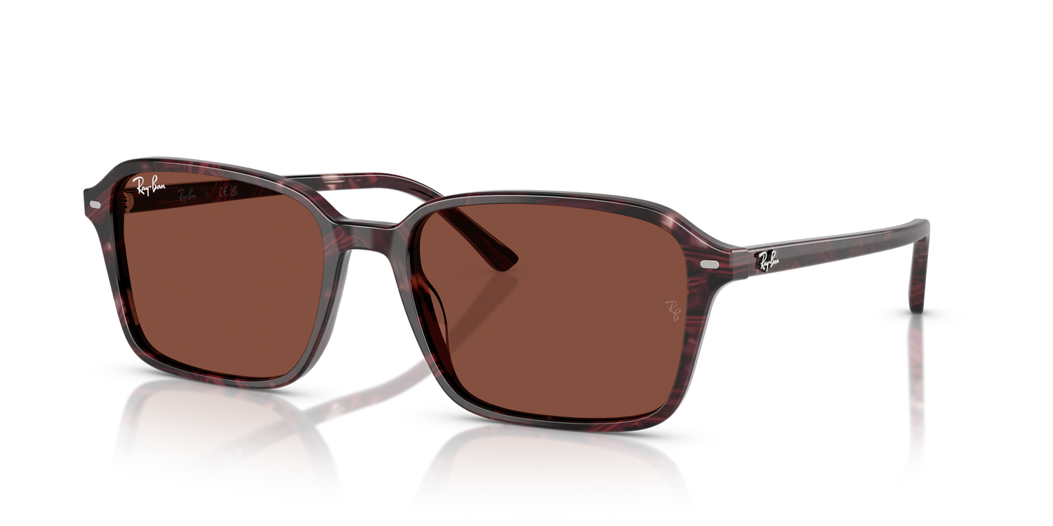 RAY-BAN RB2231 RAIMOND 1416C5 58