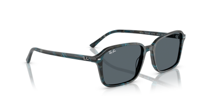 RAY-BAN RB2231 RAIMOND 1417R5 58