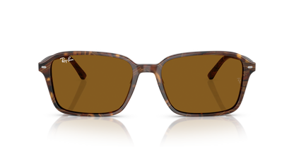 RAY-BAN RB2231 RAIMOND 141833 56