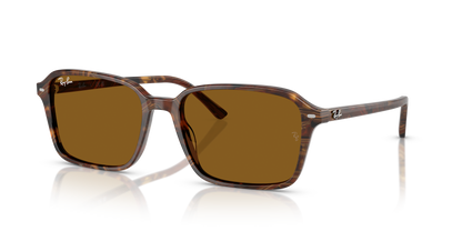 RAY-BAN RB2231 RAIMOND 141833 58