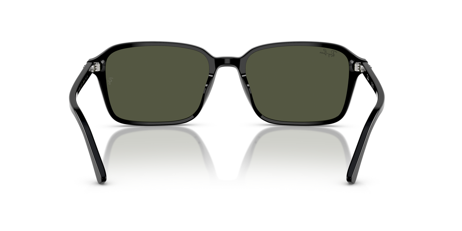 RAY-BAN RB2231 RAIMOND 901/31 56