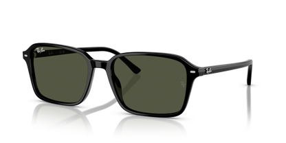 RAY-BAN RB2231 RAIMOND 901/31 56