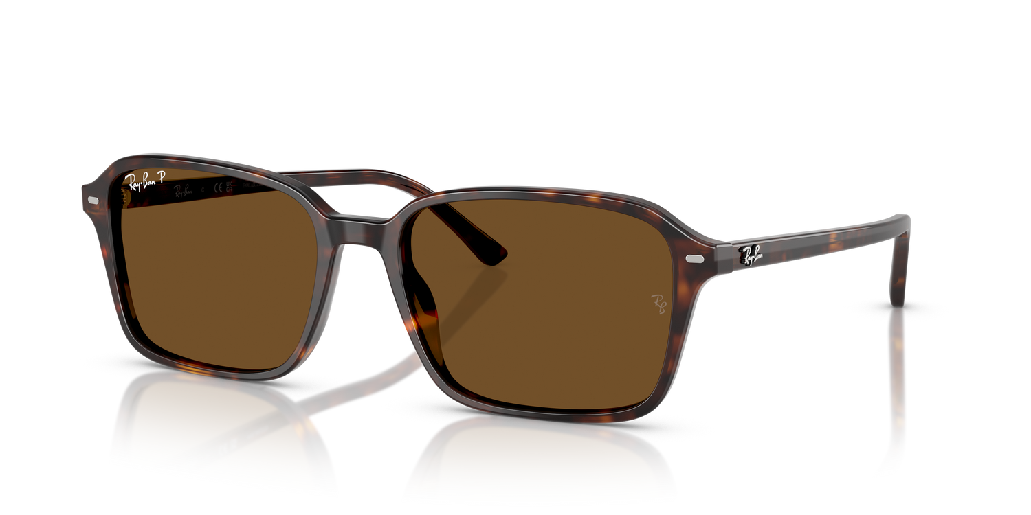 RAY-BAN RB2231 RAIMOND 902/57 56