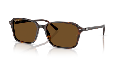 RAY-BAN RB2231 RAIMOND 902/57 56
