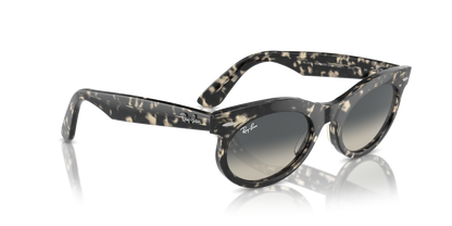 RAY-BAN RB2242 WAYFARER OVAL 133371 53