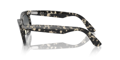 RAY-BAN RB2242 WAYFARER OVAL 133371 53