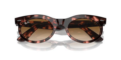 RAY-BAN RB2242 WAYFARER OVAL 133451 53