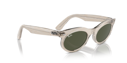 RAY-BAN RB2242 WAYFARER OVAL 138331 53