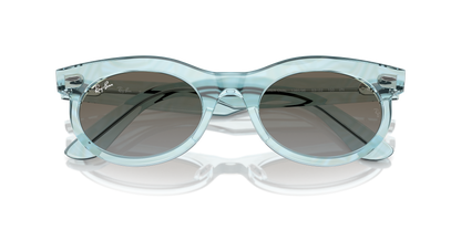 RAY-BAN RB2242 WAYFARER OVAL 138596 53