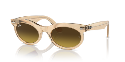 RAY-BAN RB2242 WAYFARER OVAL 138685 53