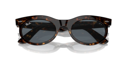 RAY-BAN RB2242 WAYFARER OVAL 902/R5 53