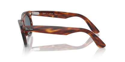 RAY-BAN RB2242 WAYFARER OVAL 954/3R 53