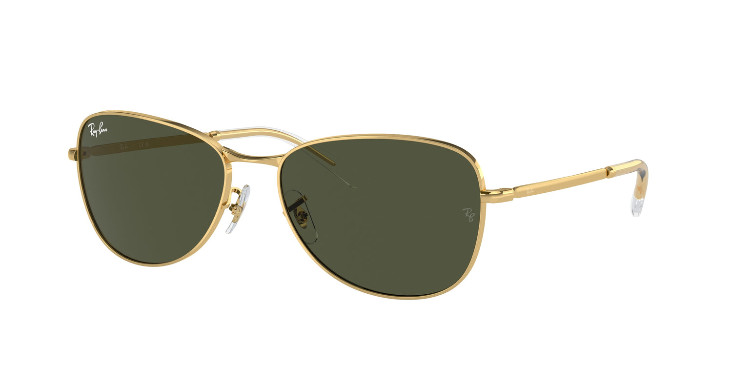 RAY-BAN RB3733 001/31 56 - 13