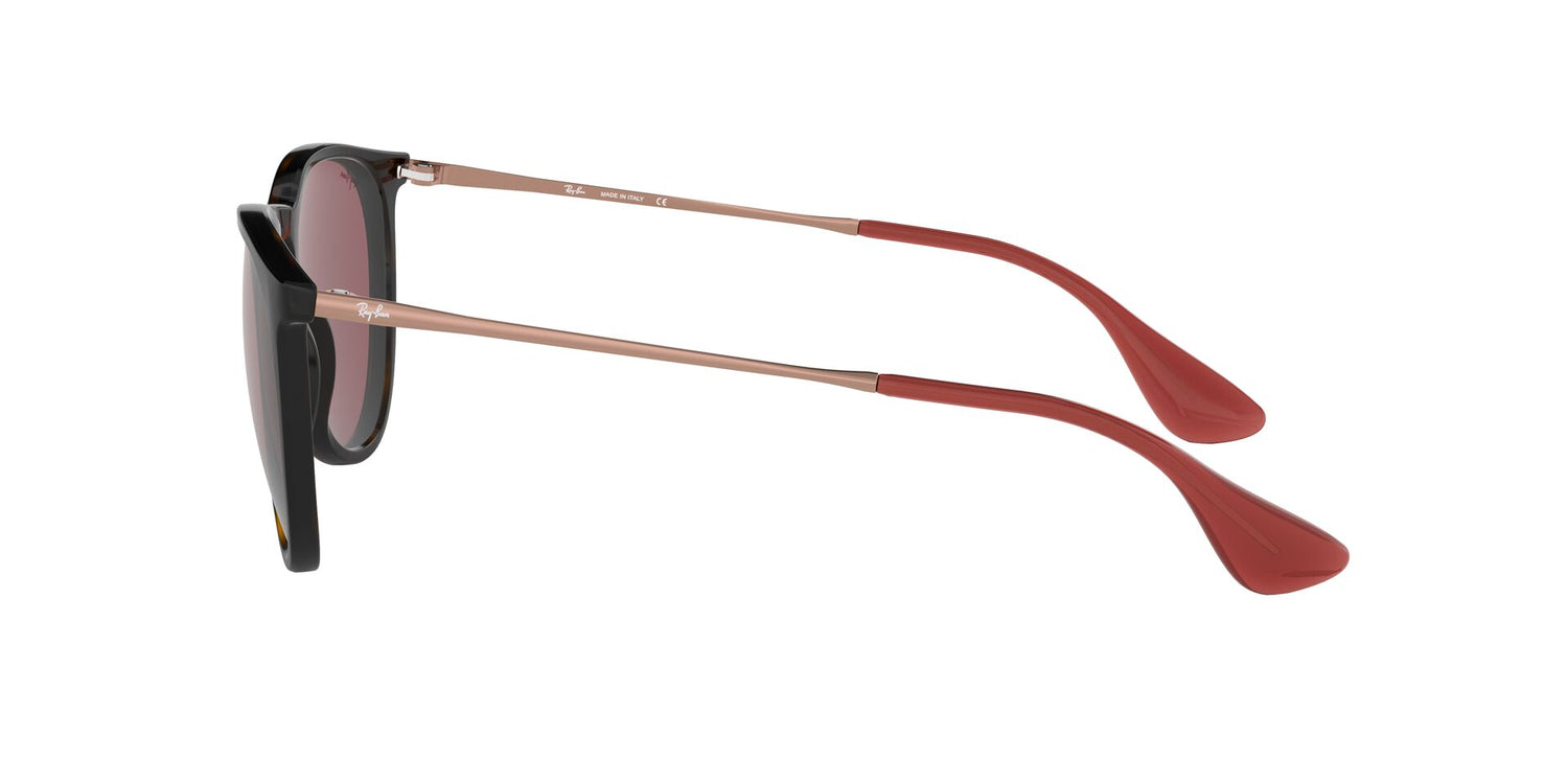 RAY-BAN RB4171 ERIKA 639175 54