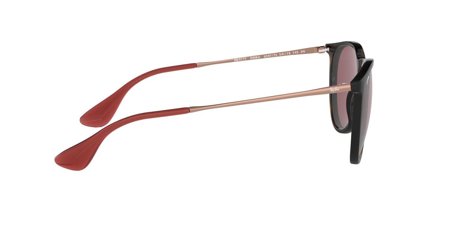 RAY-BAN RB4171 ERIKA 639175 54