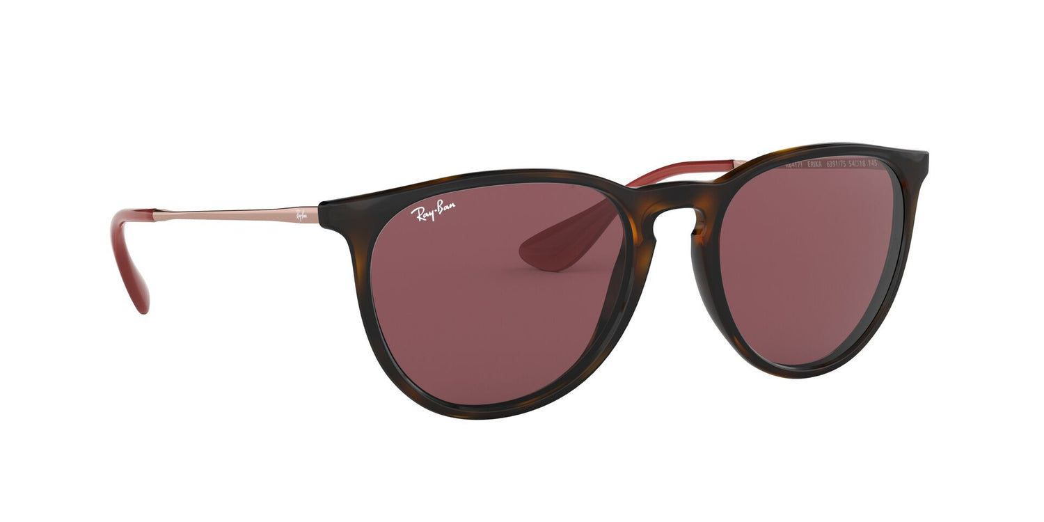 RAY-BAN RB4171 ERIKA 639175 54