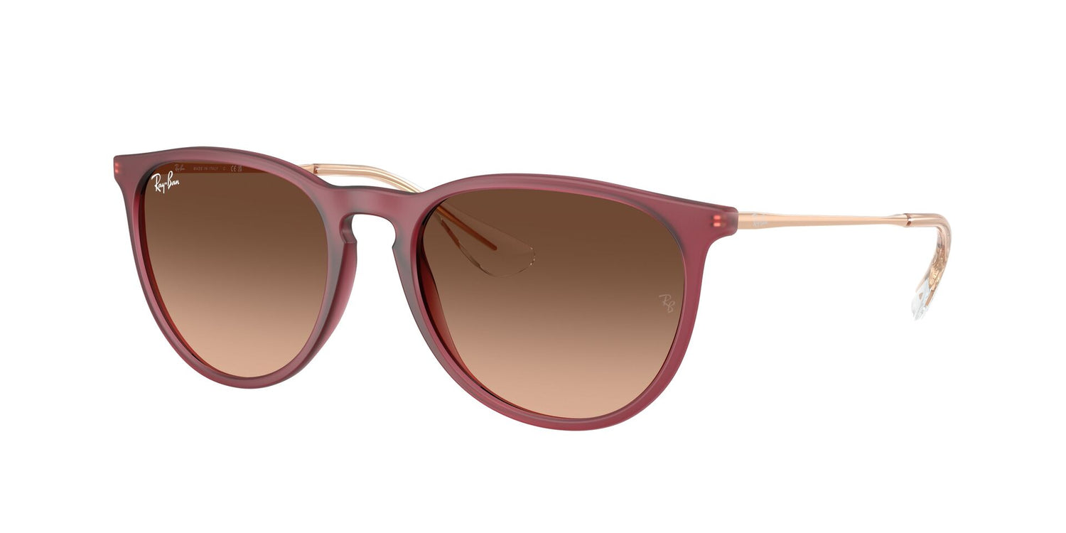 RAY-BAN RB4171 ERIKA 6815A5 54