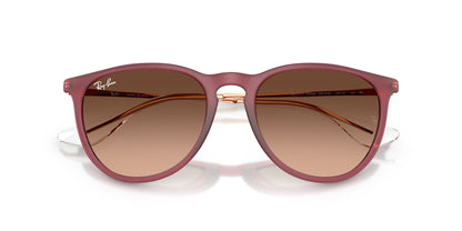 RAY-BAN RB4171 ERIKA 6815A5 54