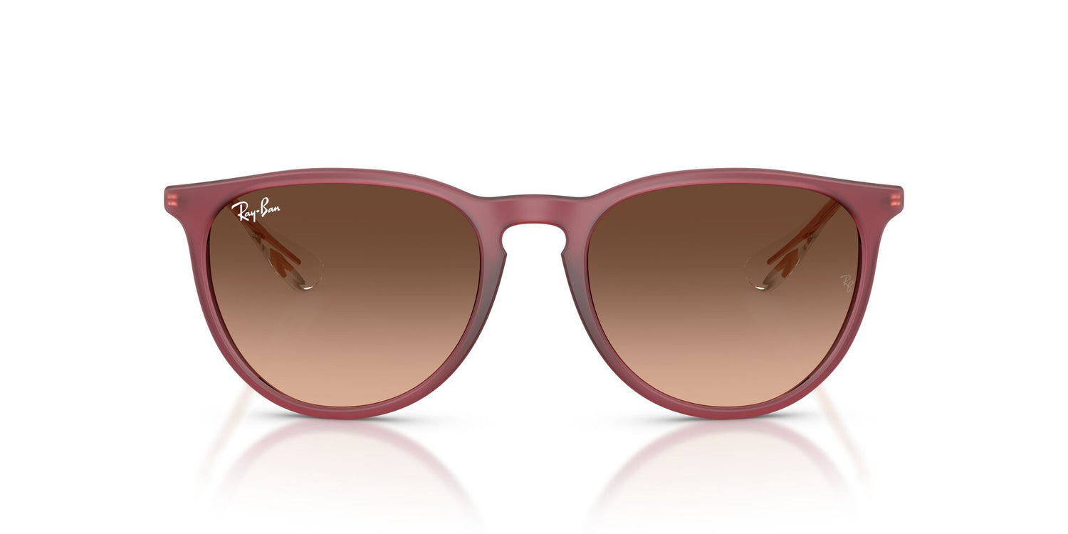 RAY-BAN RB4171 ERIKA 6815A5 54