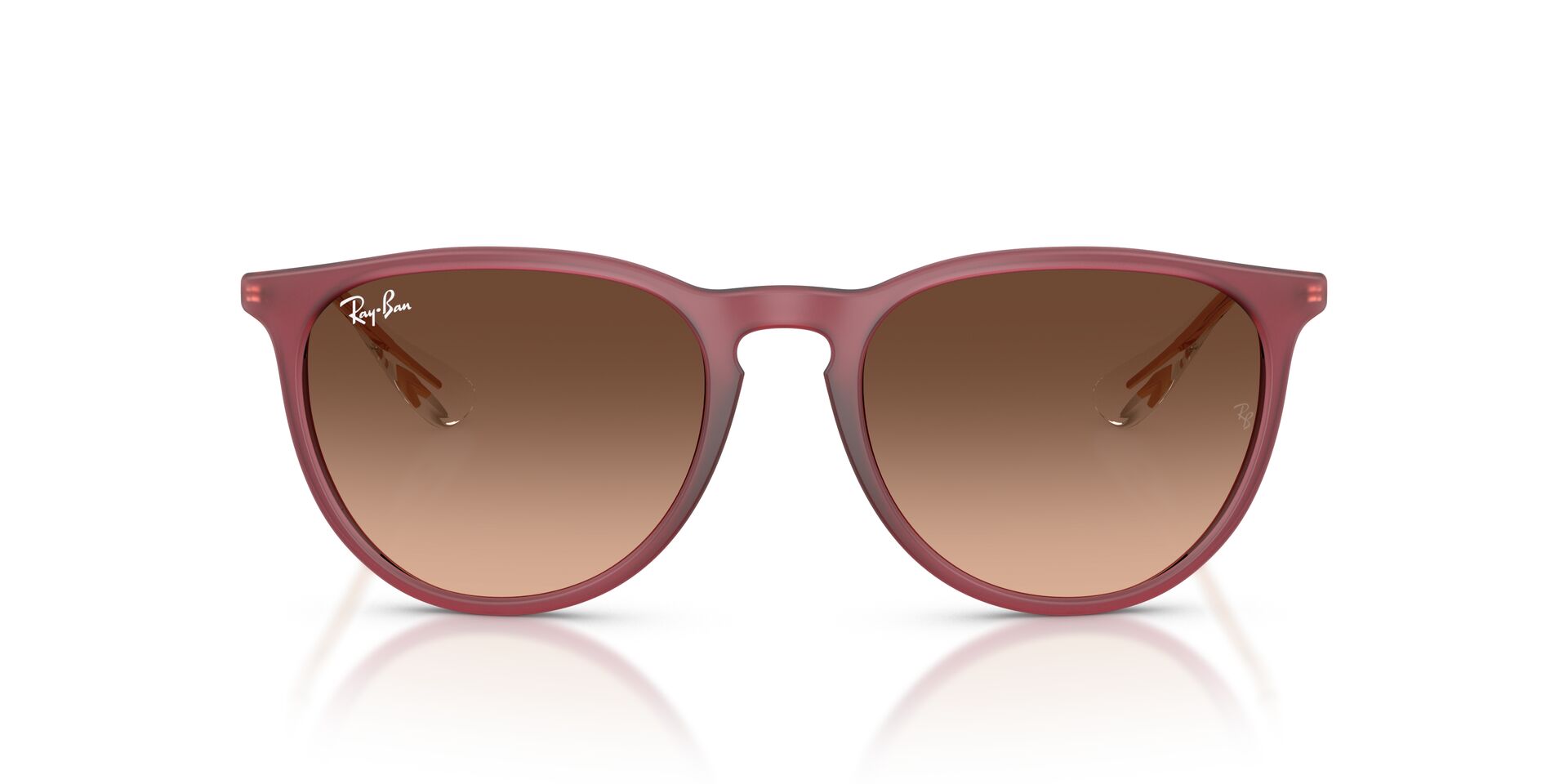 RAY-BAN RB4171 ERIKA 6815A5 54
