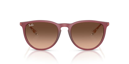 RAY-BAN RB4171 ERIKA 6815A5 54