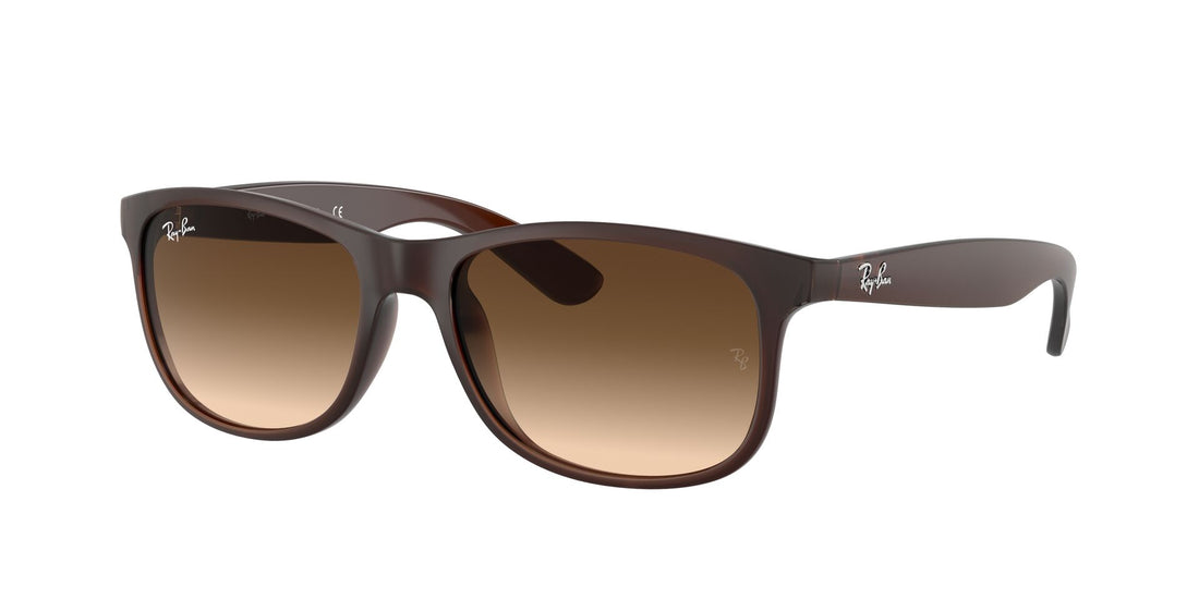 RAY-BAN RB4202 ANDY 607313 55 - 24