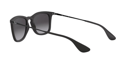 RAY-BAN RB4221 622/8G 50 - 19