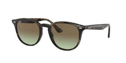 RAY-BAN RB4259 731/E8 51