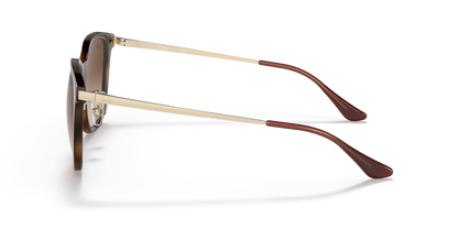 RAY-BAN RB4333D 710/13 55