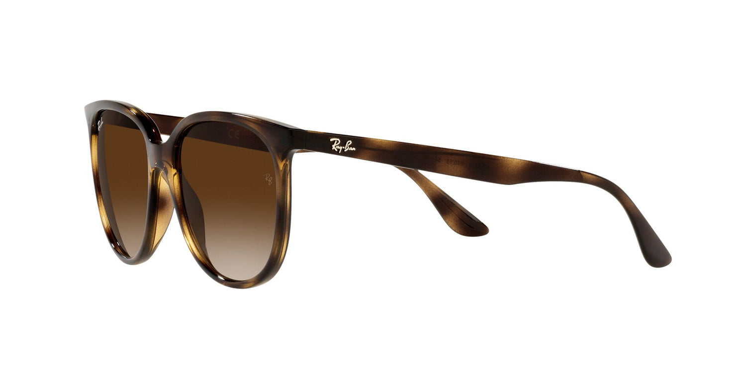 RAY-BAN RB4378 710/13 54