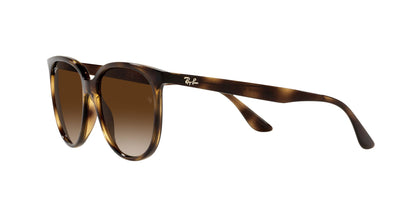 RAY-BAN RB4378 710/13 54